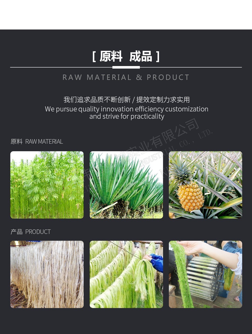 植物纖維加工設(shè)備-植物纖維提取機